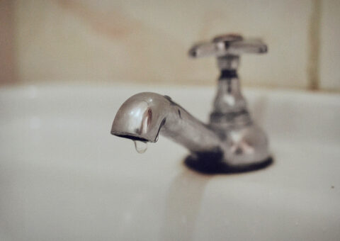 CCUSP_Exp_Foto_08